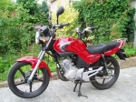 YAMAHA YBR 125